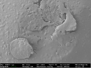 Inter-sample variability image 5